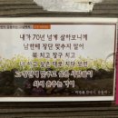 삼성치킨골뱅이 네이버블로그