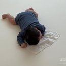 (주)해피브런치 | 파주 운정 스타필드 빌리지 나들이/나인블럭 브런치/해피랜드 하우스 올리앤캐롤 구매/마이리틀타이거...