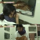 일파만파농장 이미지