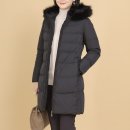 엘레강스 이미지