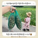 왕매실마을 이미지