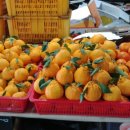 표선오일시장 이미지