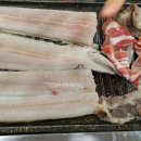 장어독존 이미지