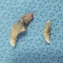 한라동물종합병원 이미지