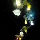 순천시 문화의 거리 이미지