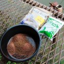 역돔낚시터 이미지