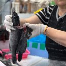 오시리아역(2) | 기장 아난티 맛집 팔팔팔숙이네 전복죽 후기 오시리아역 근처