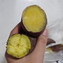 내 멋대로 생각하기로 했어