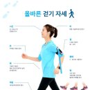 올바른 이미지