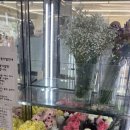 제주종합경기장 한라체육관 | 꽃과 떠나는 여행💐✈ / 제주 터미널 (한라체육관 종합경기장) 꽃집 24시 가원플라워