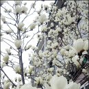 1.2.3약국