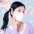 필나인 이미지