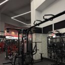 에스휘트니스 이미지