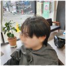 진주헤어샵 - 안양시 만안구 | 진주헤어샵