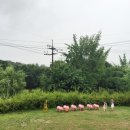 서현농장 이미지