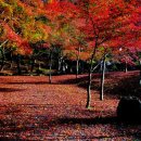 은혜동산 이미지