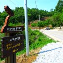 괴곡성벽길 이미지