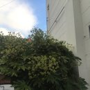 큰솔가든 이미지