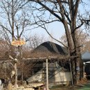 에덴농장 | 김포 나들이 에덴농장에서 능이백숙 먹고 이쁜 카페다녀온 후기