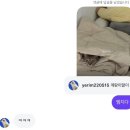 나도짱깨 치킨삼파전 | #25-12