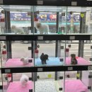 The멍멍 이미지