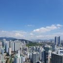 서면롯데엘루체부동산중개 이미지