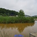 금이 낚시터 이미지