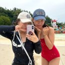 하이시즌 캐리비안베이 + 에버랜드 후기 (눈치싸움 성공!)
