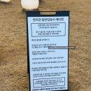 슈필라움 | [강남맛집]경기 화성 제부도 슈필라움 글램핑&amp;카페 방문 후기