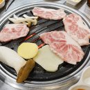 불막열삼회원점