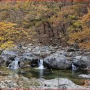 내원사 계곡=숨은 단풍명소예요&#34; 조용한 계곡 따라 걷는 천년고찰 가을길 이미지