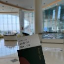 소노캄 여수 | 여수 소노캄호텔 5성급 숙박후기💙 바다뷰 객실에서 힐링한 찐 호캉스✨(+오동도 맛보기)