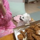 한입만 이미지