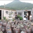 와보랑께 박물관 이미지