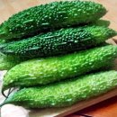 여주-0592 이미지