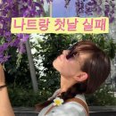 나트랑 악어샵 크록스, 아보카도 아이스크림 BING SOO, 반미판 실패