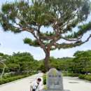 GS25시 공주백제점 | [충남_부여] 백제역사유적지구 사비 “부소산성”과 “낙화암(백화정)”, “백마강유람선” 후기