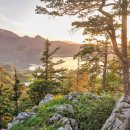 초록마을 울산언양점 | 울산 언양 정토마을 자재병원 특실 사용 후기(식도암 말기 환자)