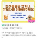 365햇살약국 | 넥스가드 스펙트라 가격 강아지 심장사상충약 인천 제일큰약국 내돈내산