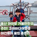 연안 | 울산 고래바다여행선 야간 연안 투어 솔직후기 (아이랑 가기 꿀팁 총정리)