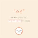 원데이 쿠킹클래스 이미지