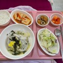 분당자생한방병원 | 교통사고로 분당자생한방병원 입원후기/입원준비물/식단/치료(상대과실100%)