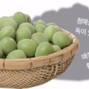 미녹원