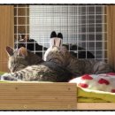 백송타워 이미지