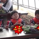 민국농장 이미지