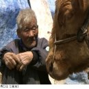 워낭소리 이미지