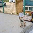 해신포차 이미지