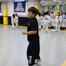 용인대 안산 타이거즈 태권도장 이미지