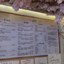 벚꽃스시 티스토리