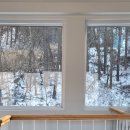 두지네 윗집 이미지